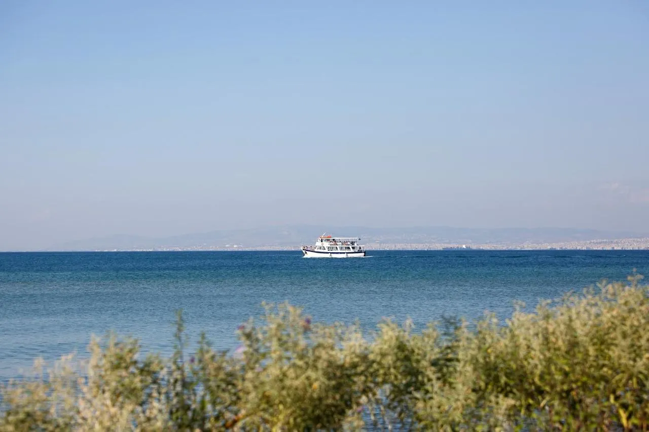 Metaxa Seafront Apartment Peraia   Peraia (Thessaloniki)